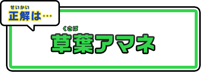 正解：草葉アマネ